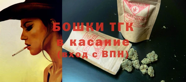 МДПВ Богородск