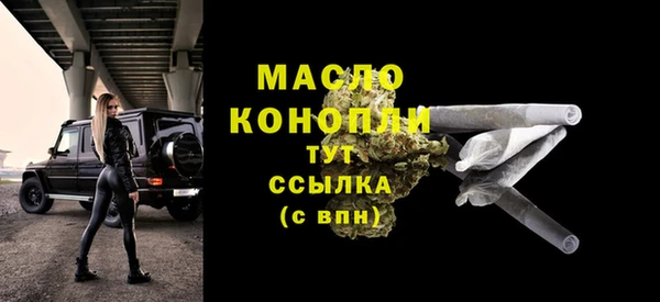 МДПВ Богородск