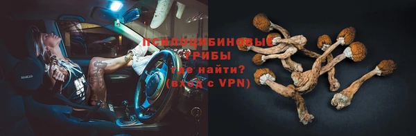 МДПВ Богородск