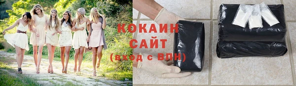 МДПВ Богородск