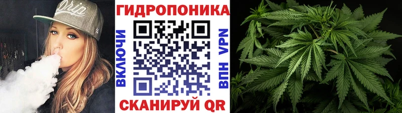 Бошки Шишки SATIVA & INDICA Михайловка